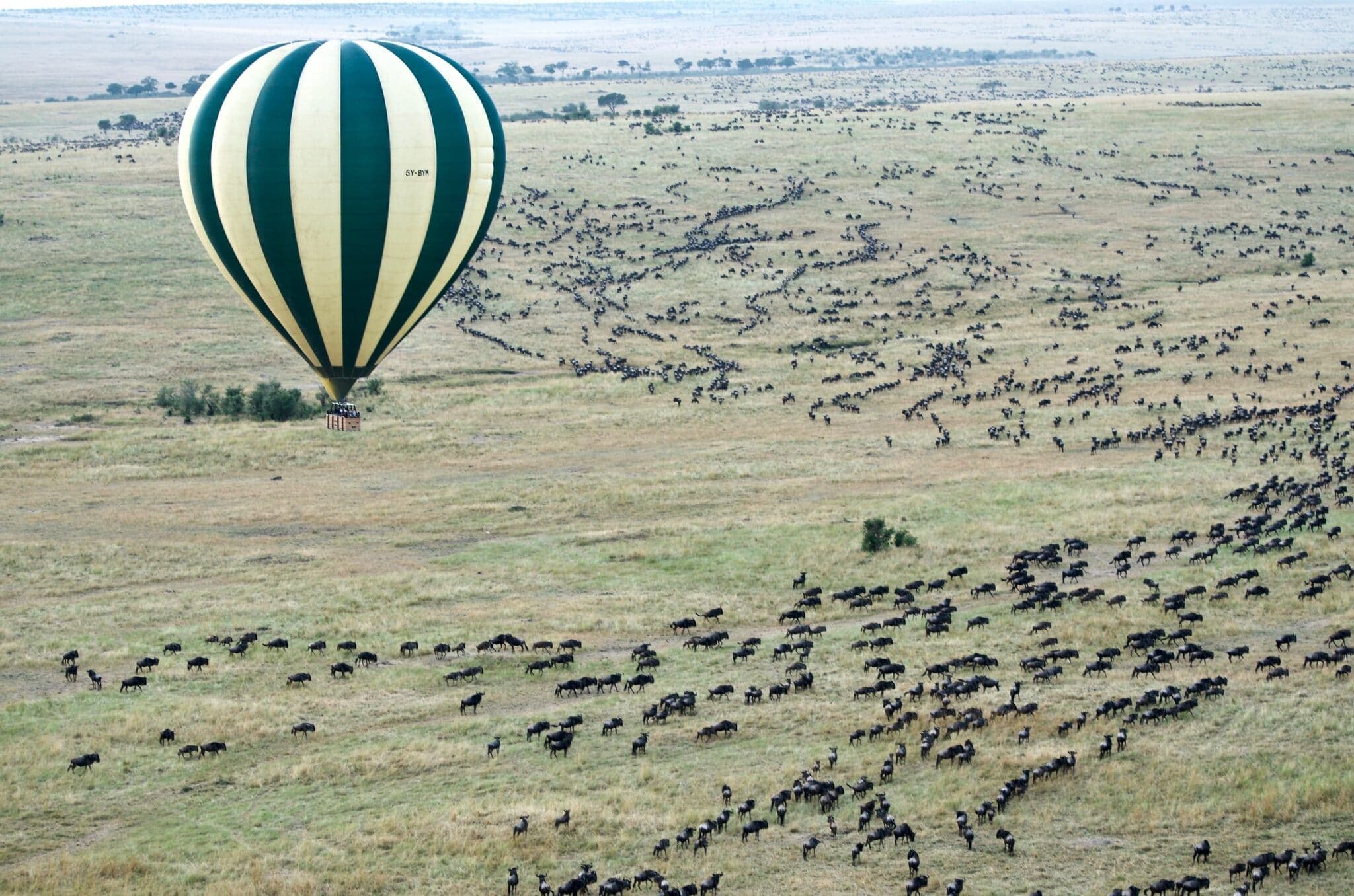 Serengeti National Park gallery 2